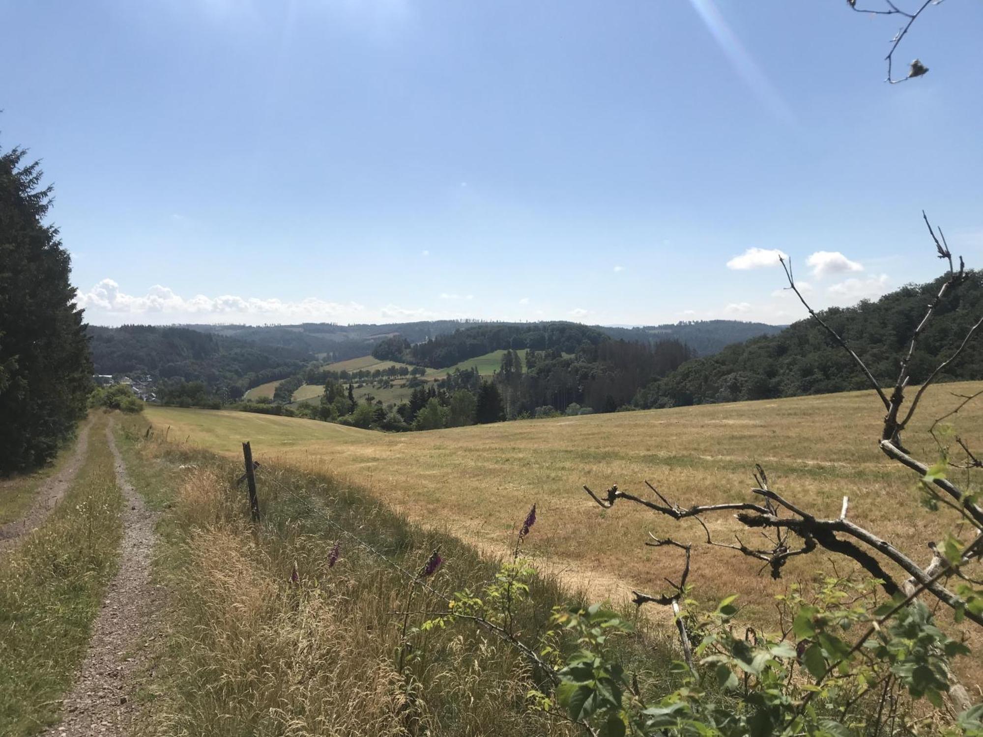 Gluehalm Willingen Willingen (Upland) Exterior foto