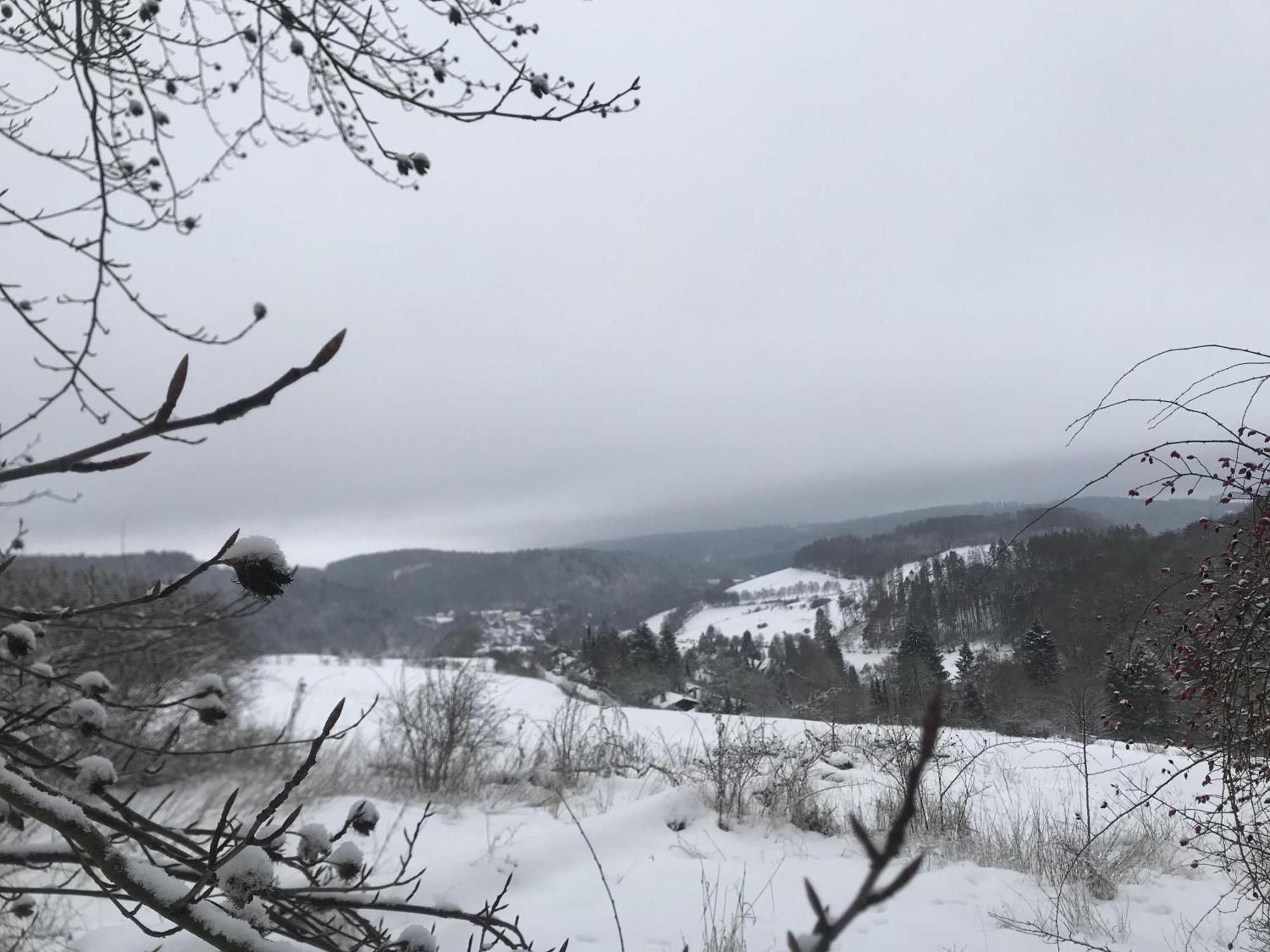 Gluehalm Willingen Willingen (Upland) Exterior foto