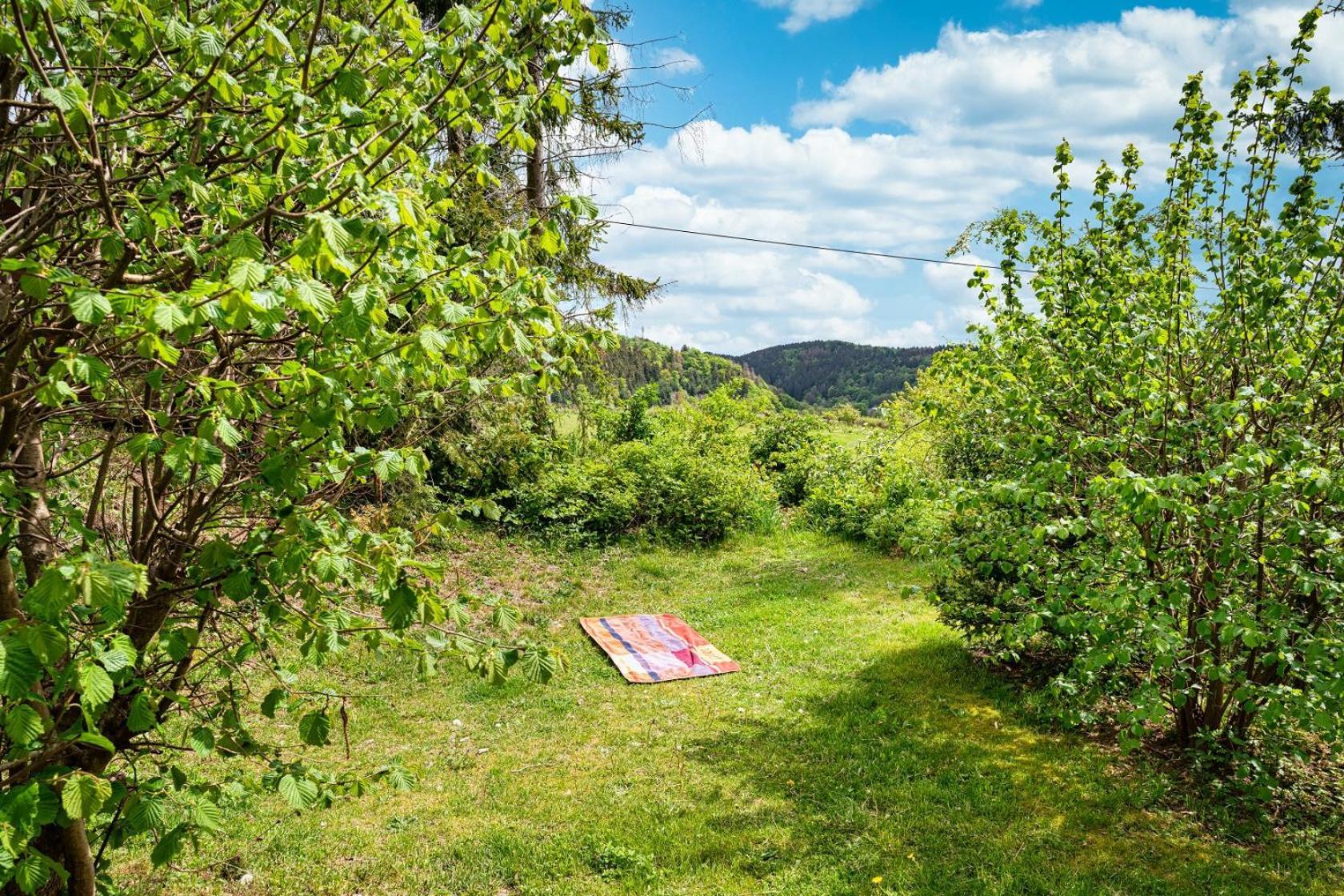 Gluehalm Willingen Willingen (Upland) Exterior foto